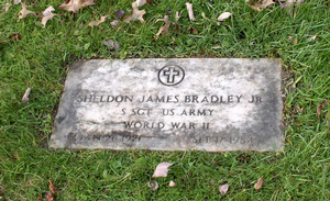 Sheldon James Bradley